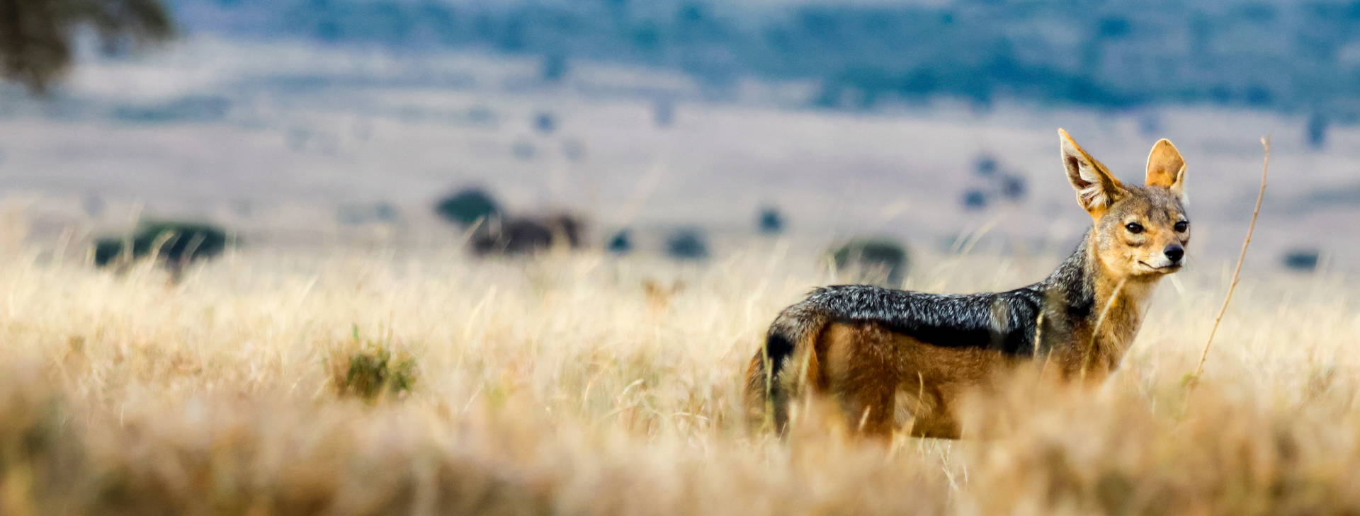 Ubytování IDZ Obrázek28