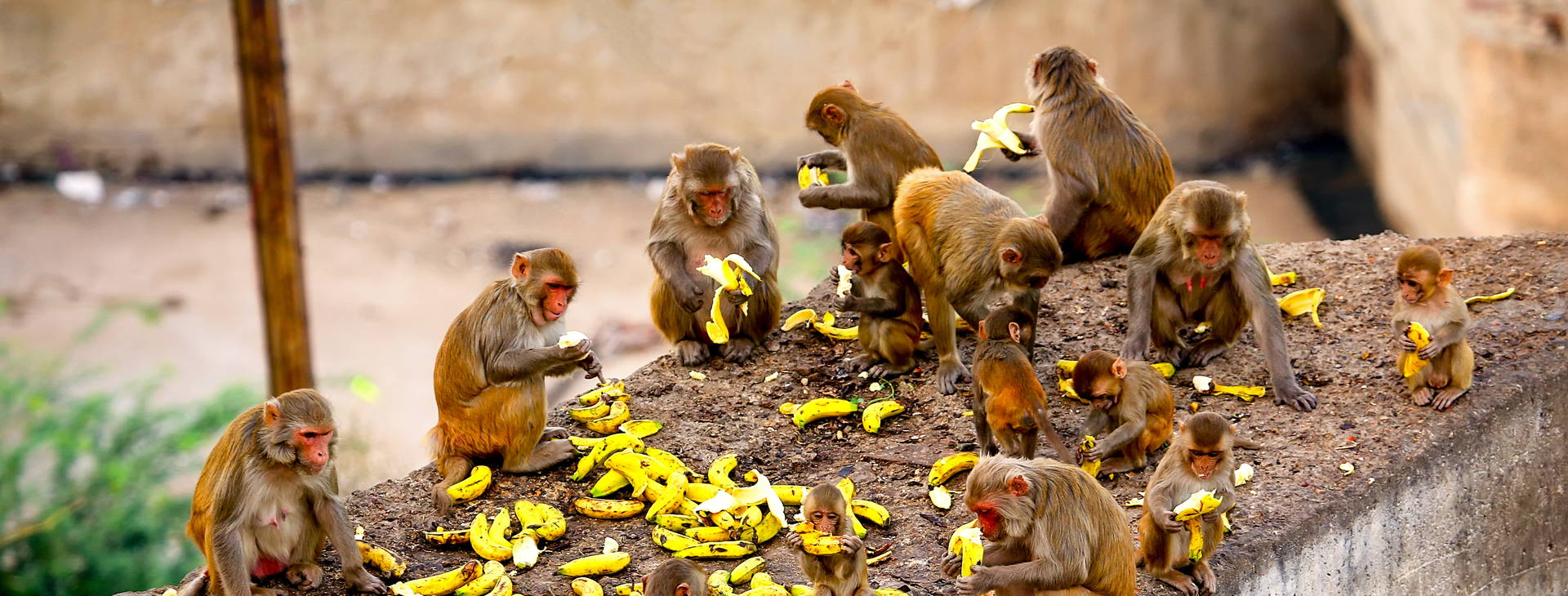 Ubytování IDZ Obrázek34