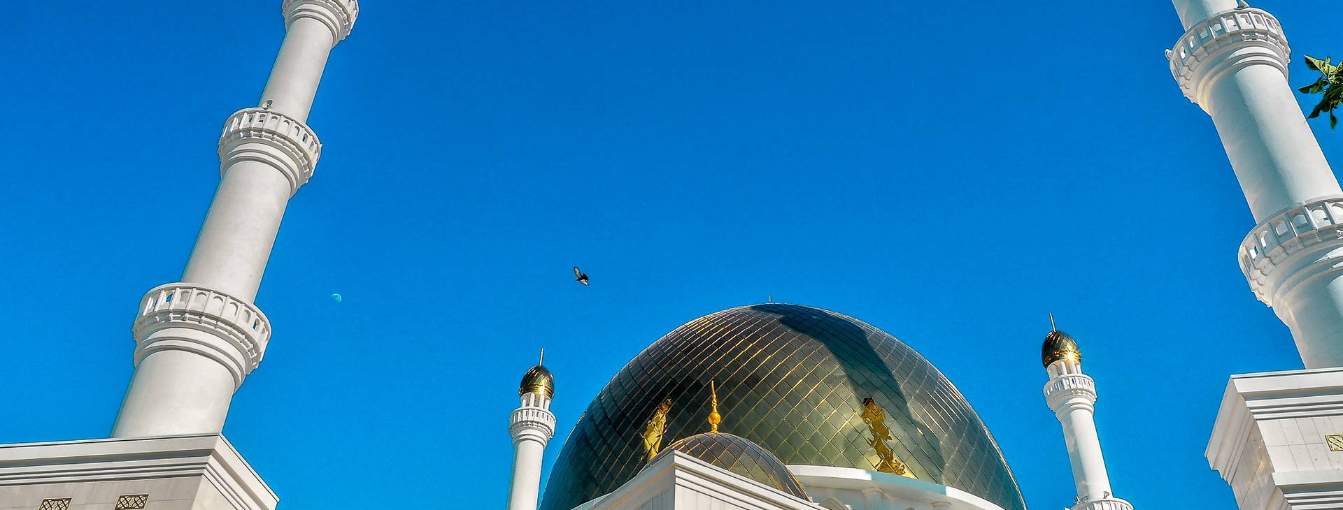 Ubytování UTB Obrázek25