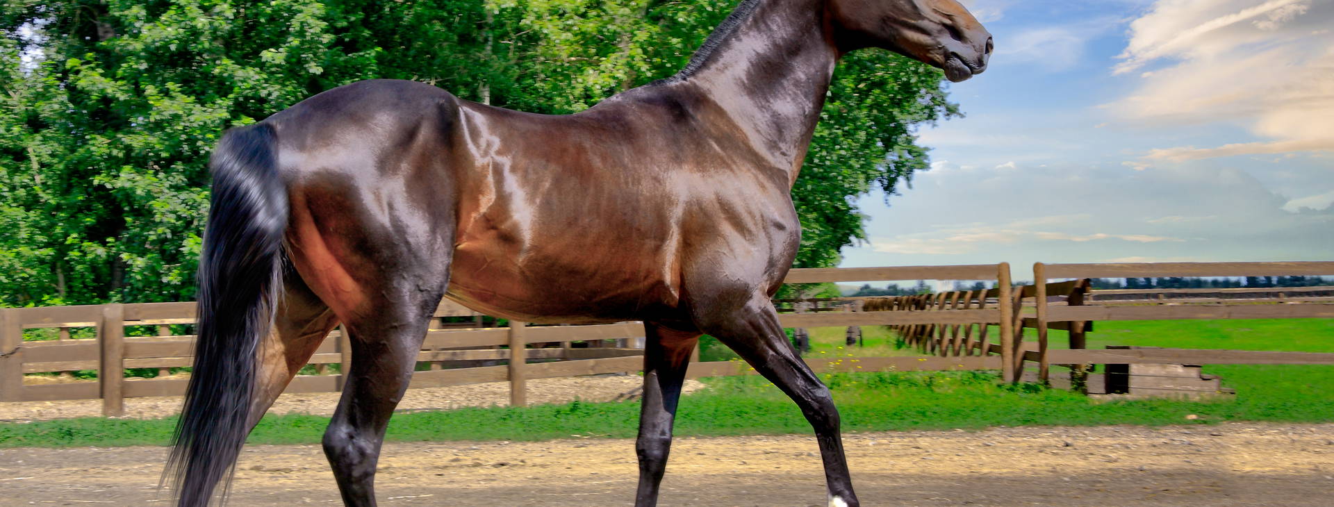 Ubytování UTB Obrázek27