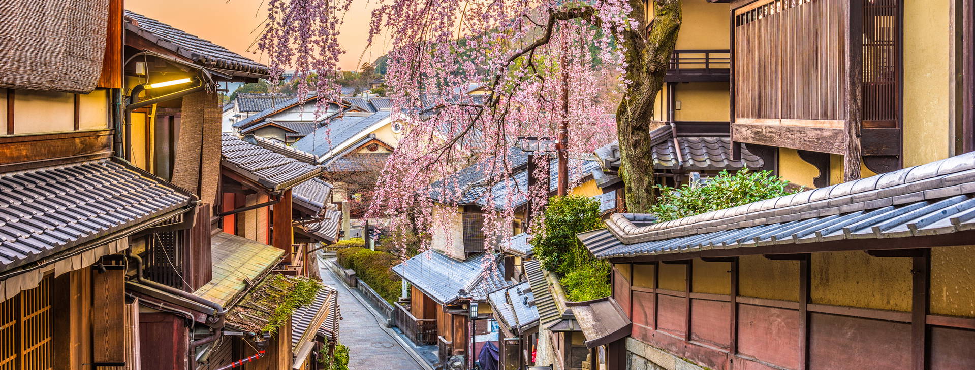 Ubytování CHO Obrázek17