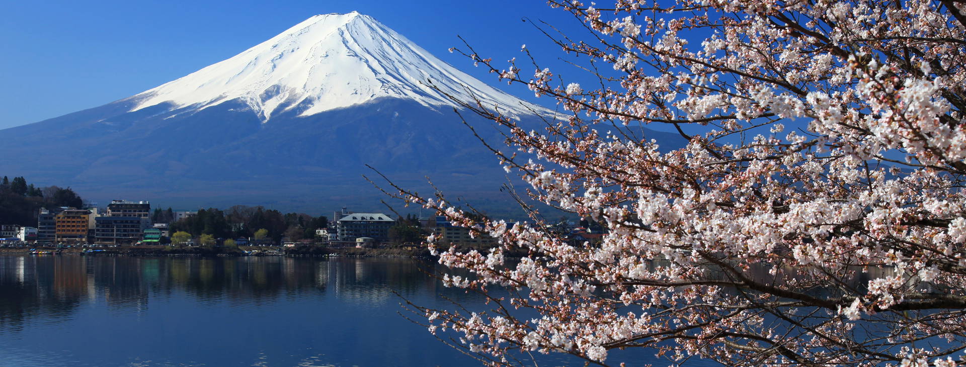 Ubytování CHO Obrázek19