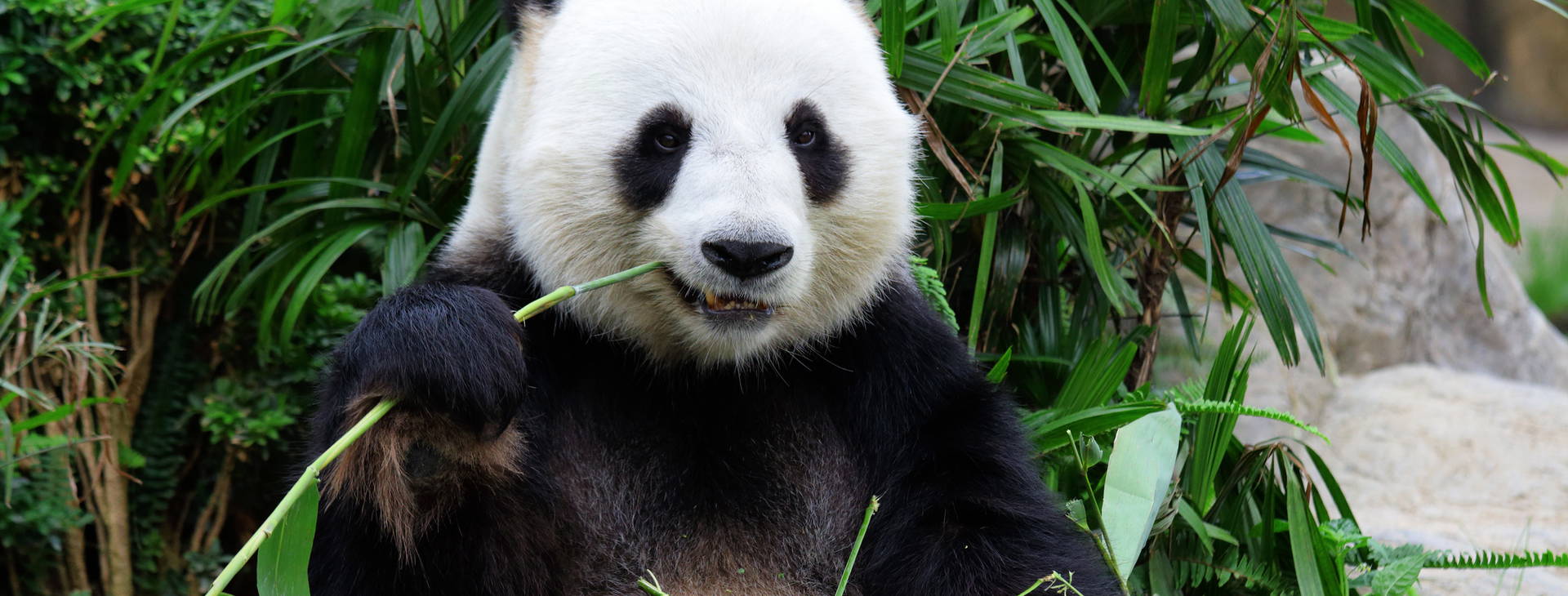 Ubytování CJA Obrázek2