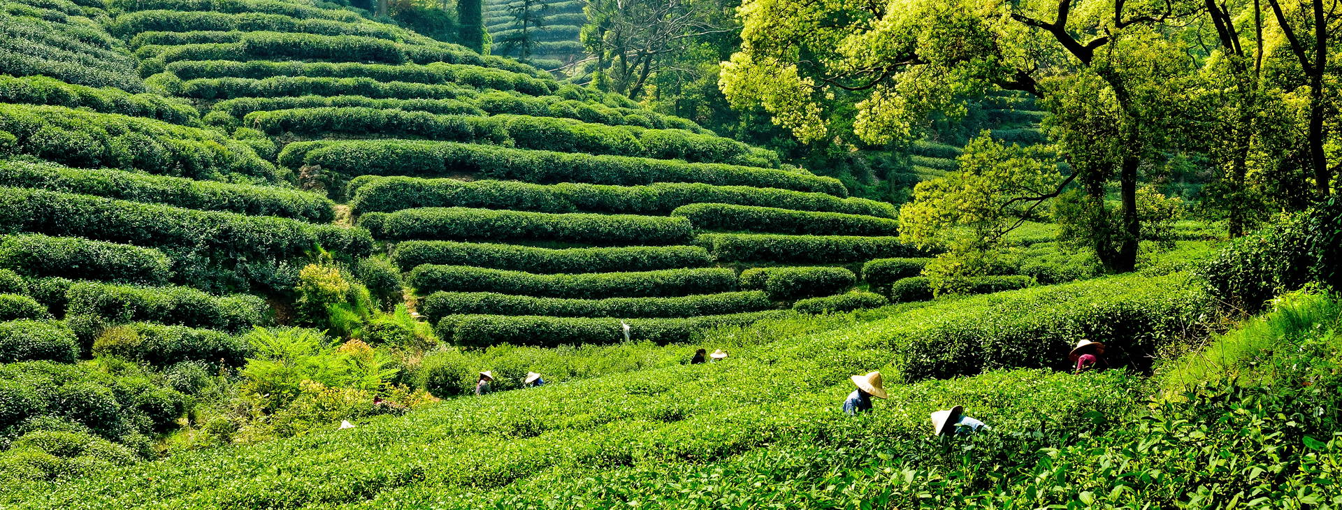 Ubytování CJA Obrázek7