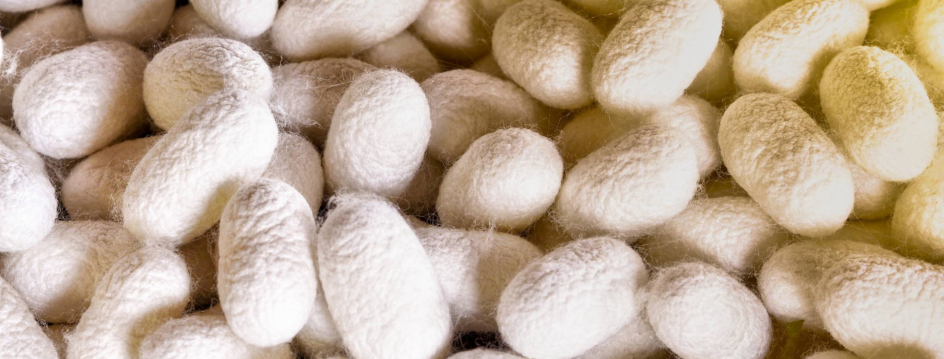 Ubytování CJA Obrázek13