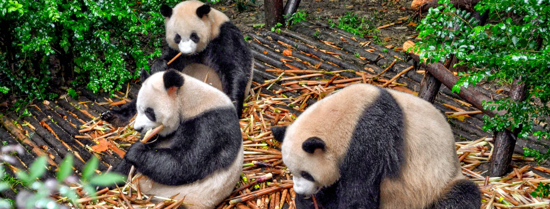 Ubytování CJA Obrázek12