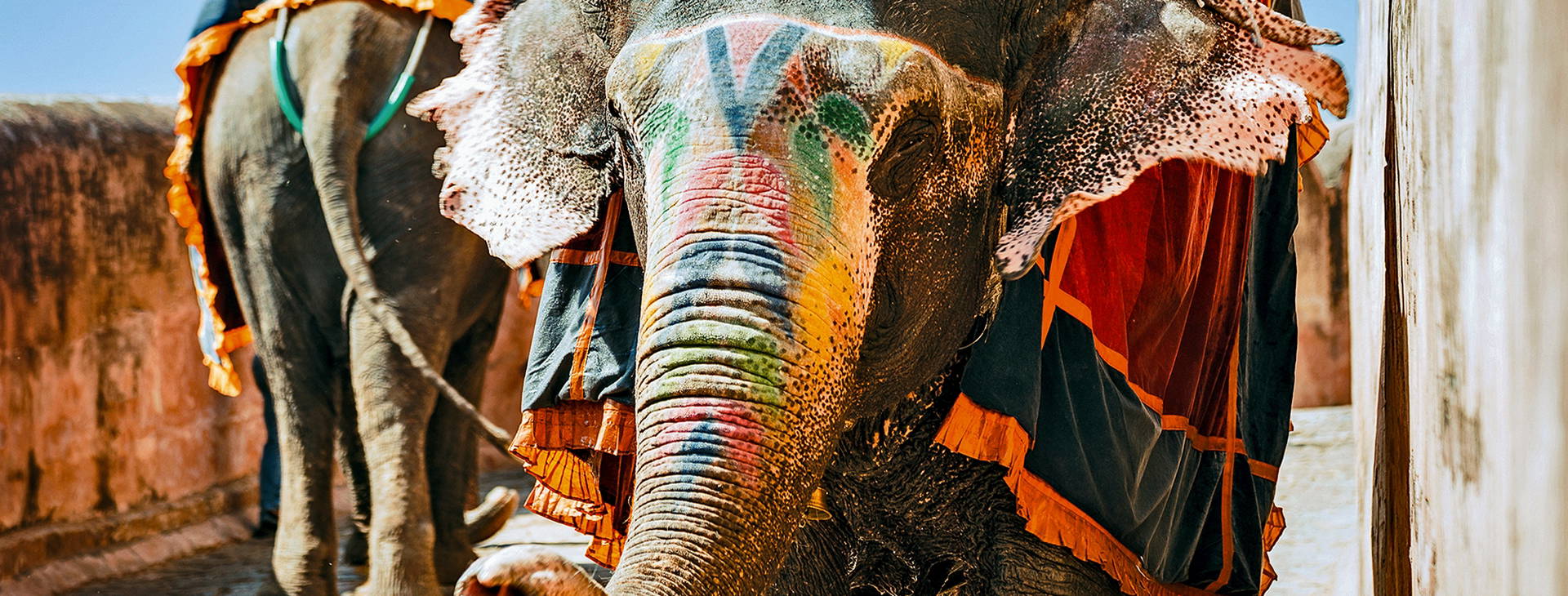 ﻿Ubytování IGZ  Obrázek5