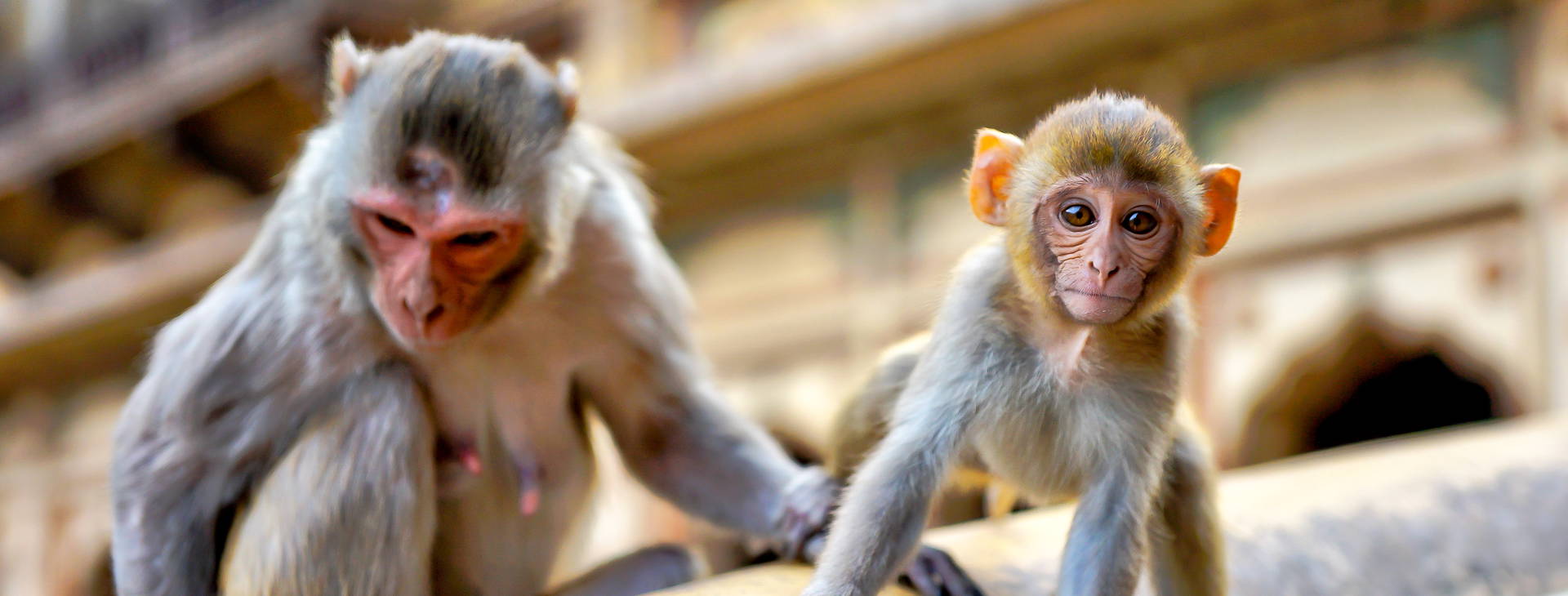 ﻿Ubytování IGZ  Obrázek3