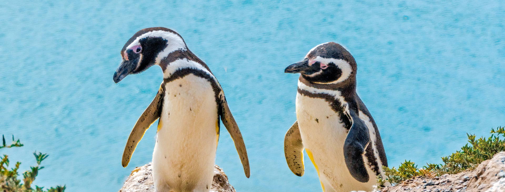 Ubytování AUE Obrázek12