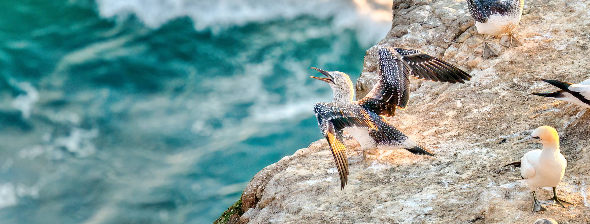 Ubytování AUE Obrázek15