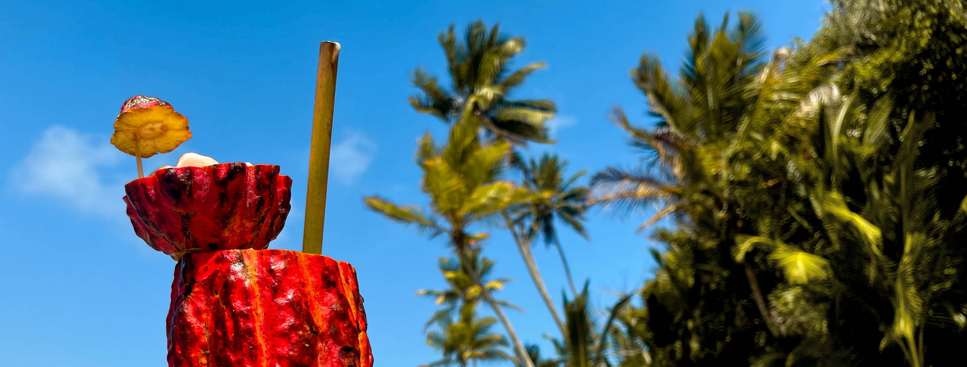 Ubytování BSA Obrázek2