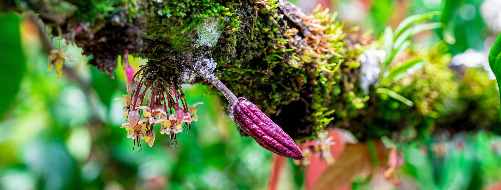 Ubytování BSA Obrázek19