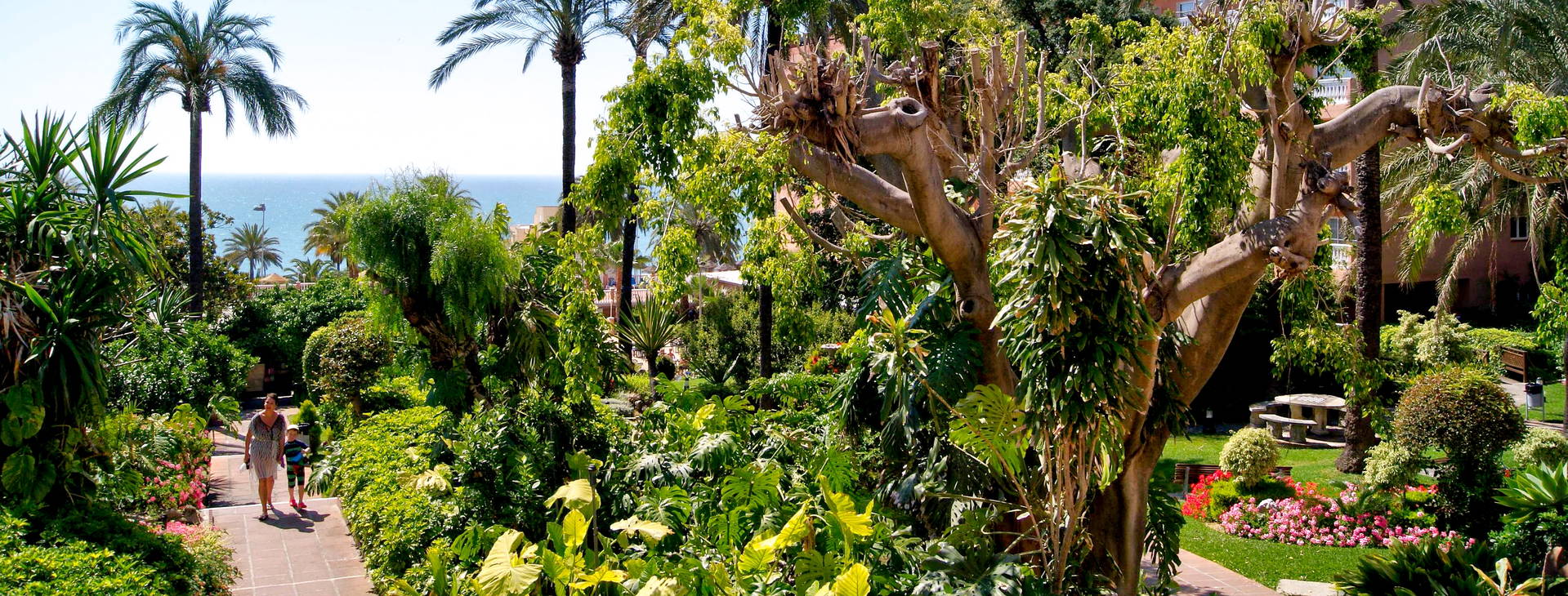 Best Siroco Obrázek14