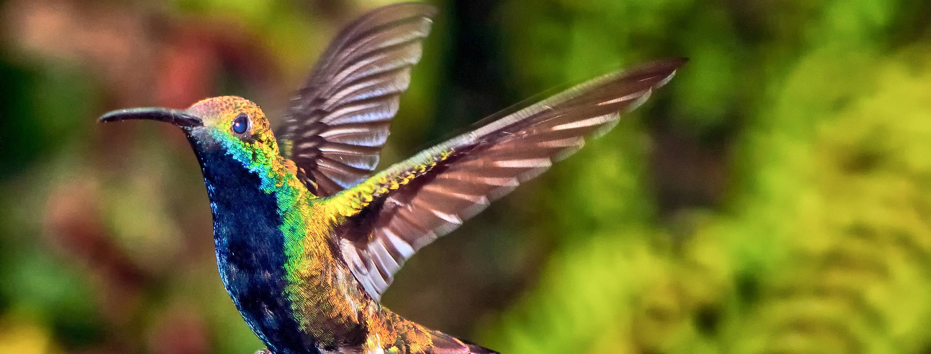 Ubytování KMB Obrázek5