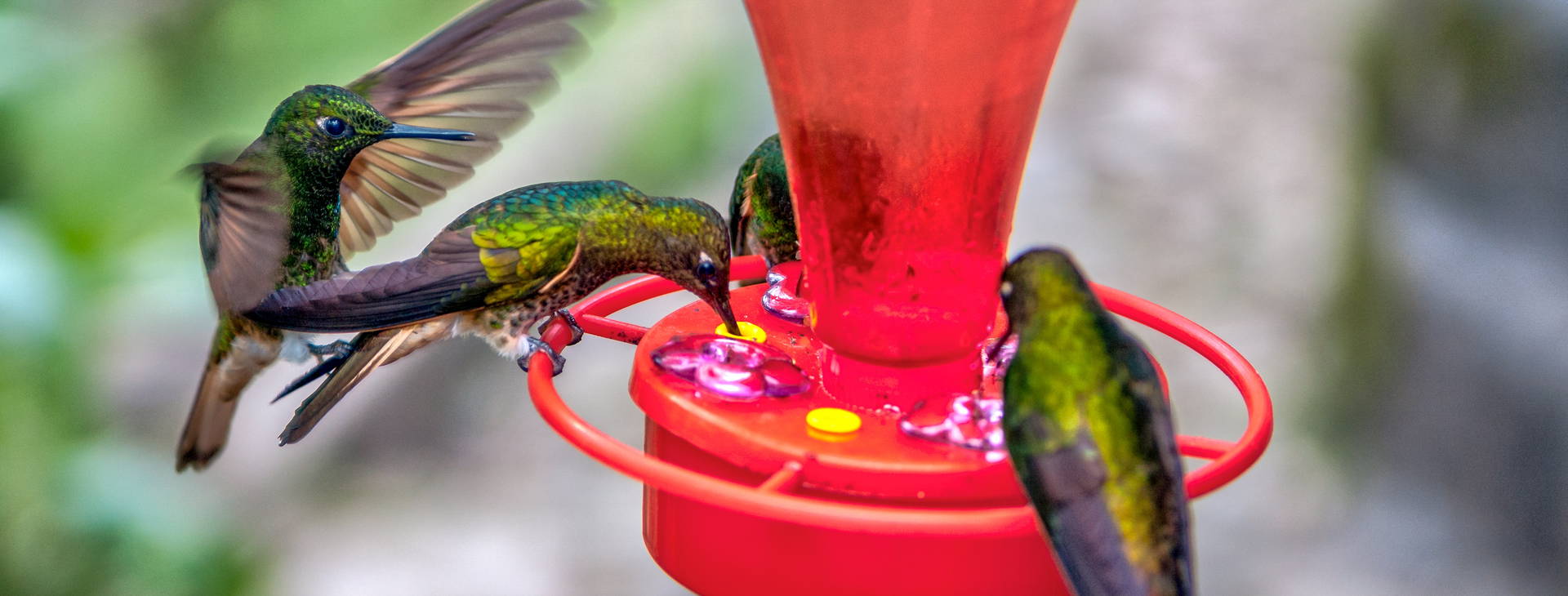 Ubytování KMB Obrázek21