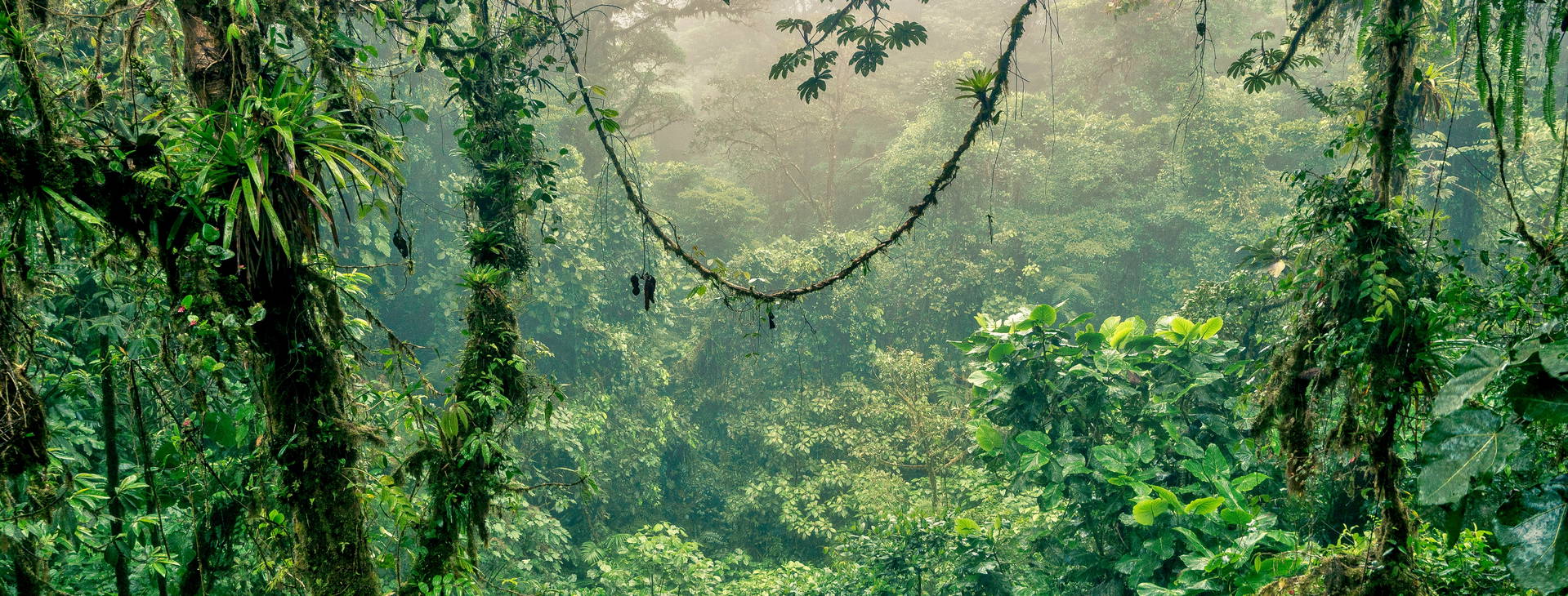 Ubytování PNK Obrázek19