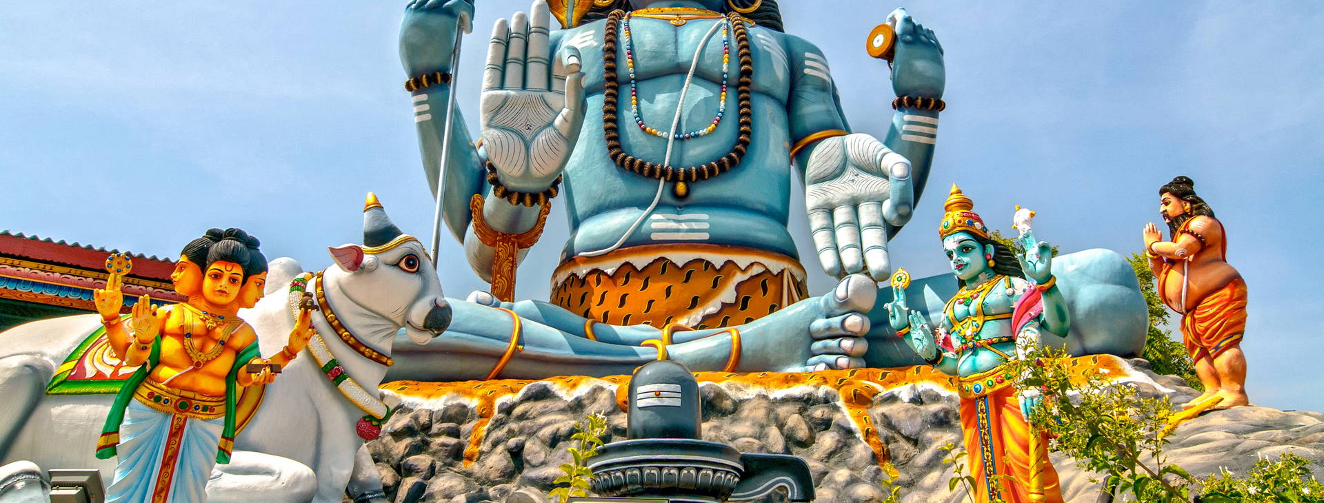 Ubytování SLR Obrázek24