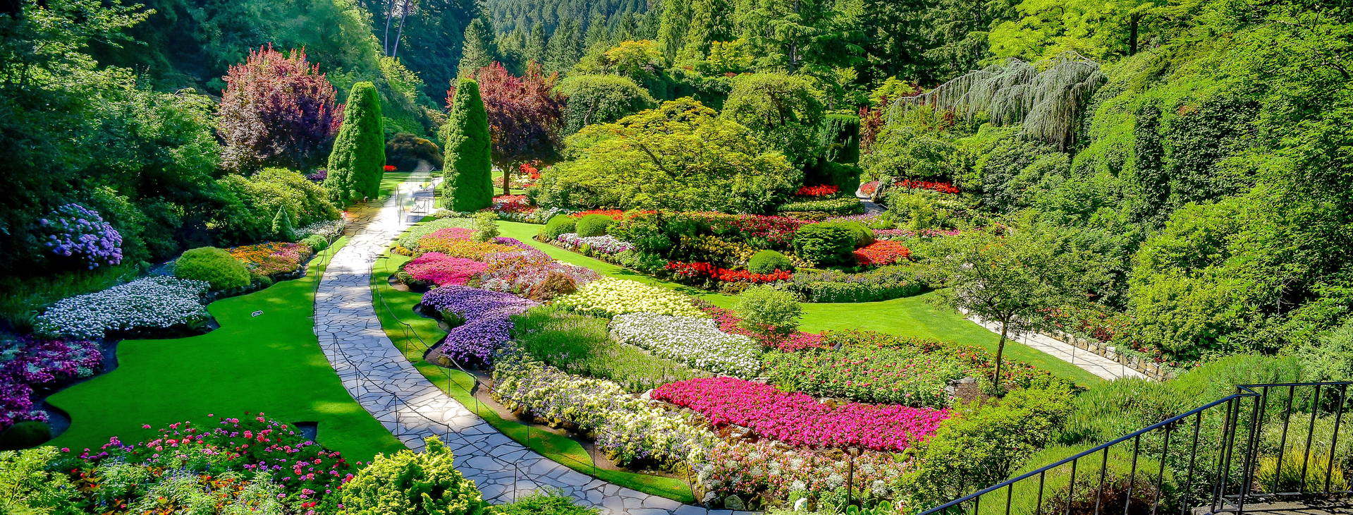 Ubytování ALN (Carnival Spirit) Obrázek17