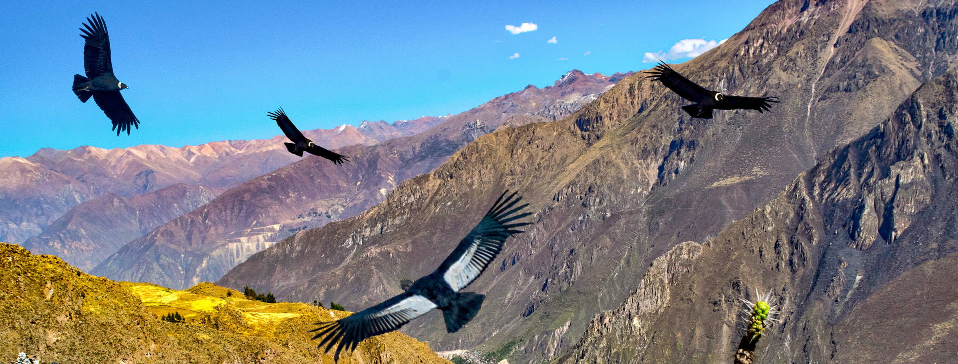 Ubytování PKE Obrázek6