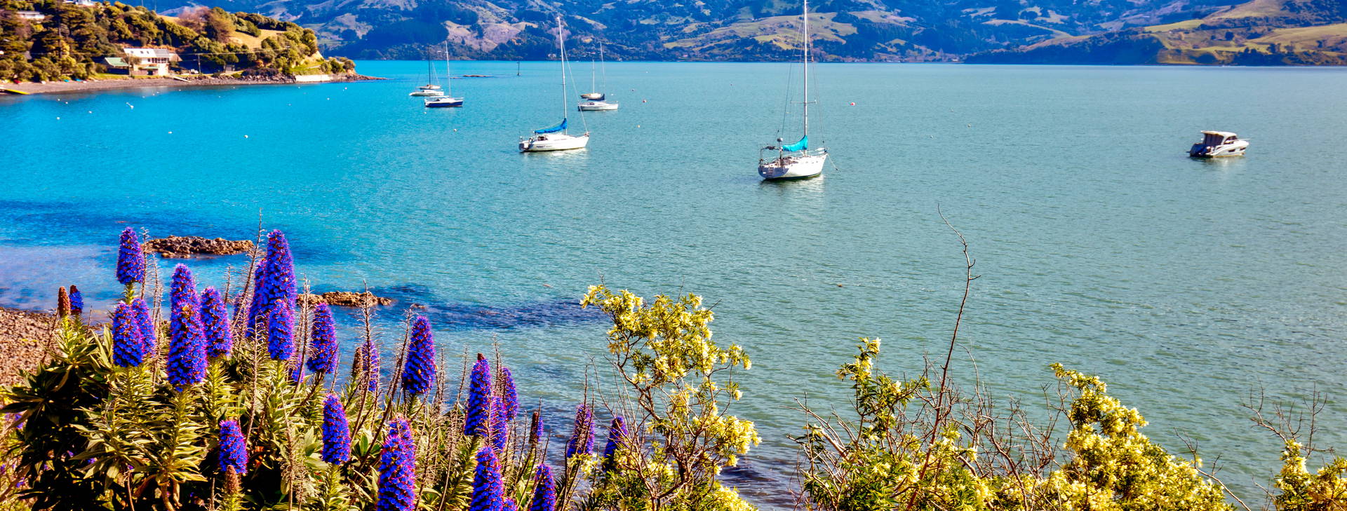 Ubytování ANC (Norwegian Spirit) Obrázek6