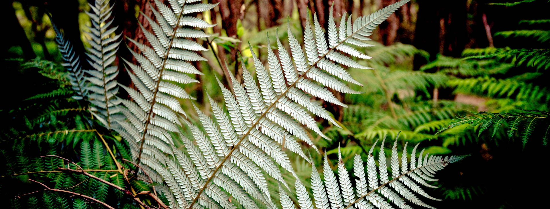 Ubytování AUE Obrázek9