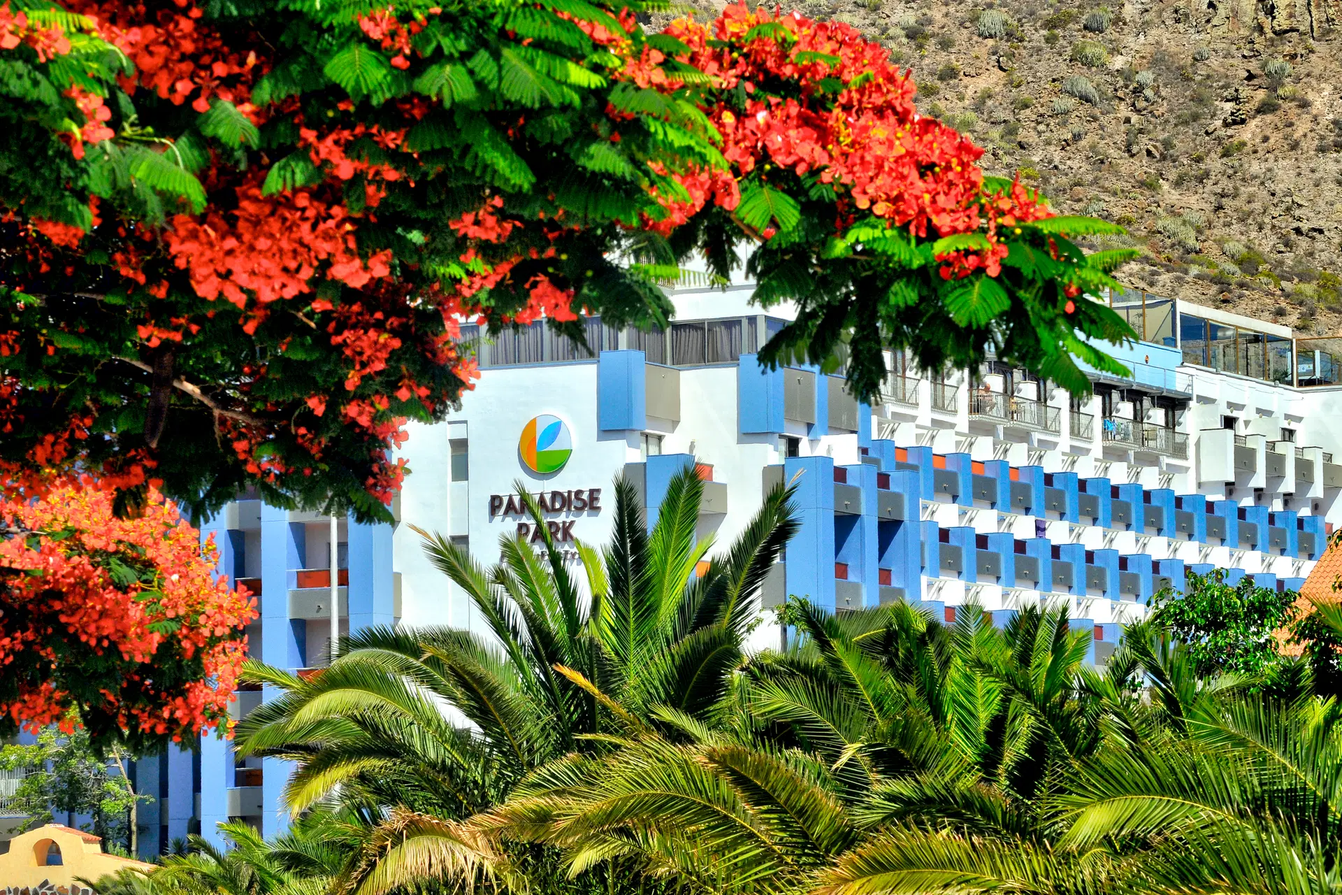 Paradise Park Fun Lifestyle Hotel Obrázek14