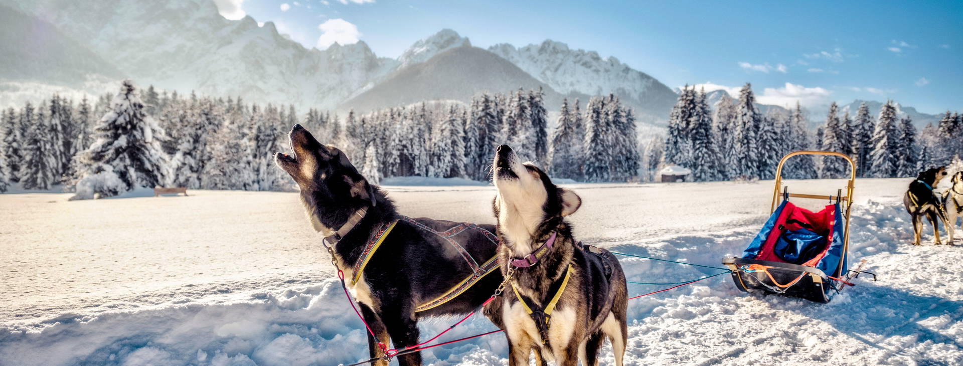 Ubytování GRM Obrázek7