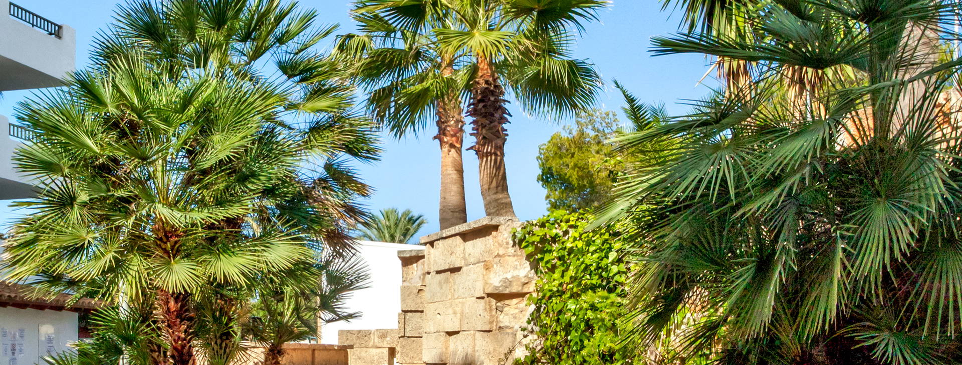 Globales Costa de la Calma Obrázek7