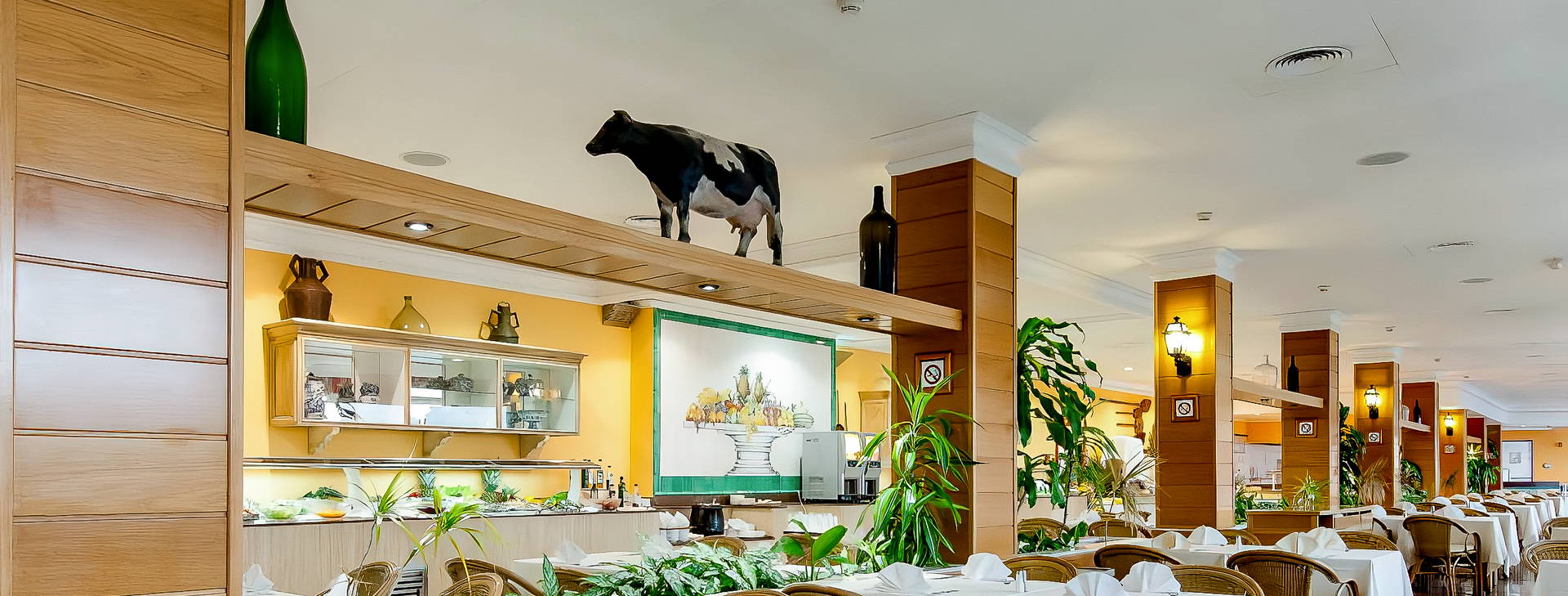 MIRADOR DEL CABO Obrázek19