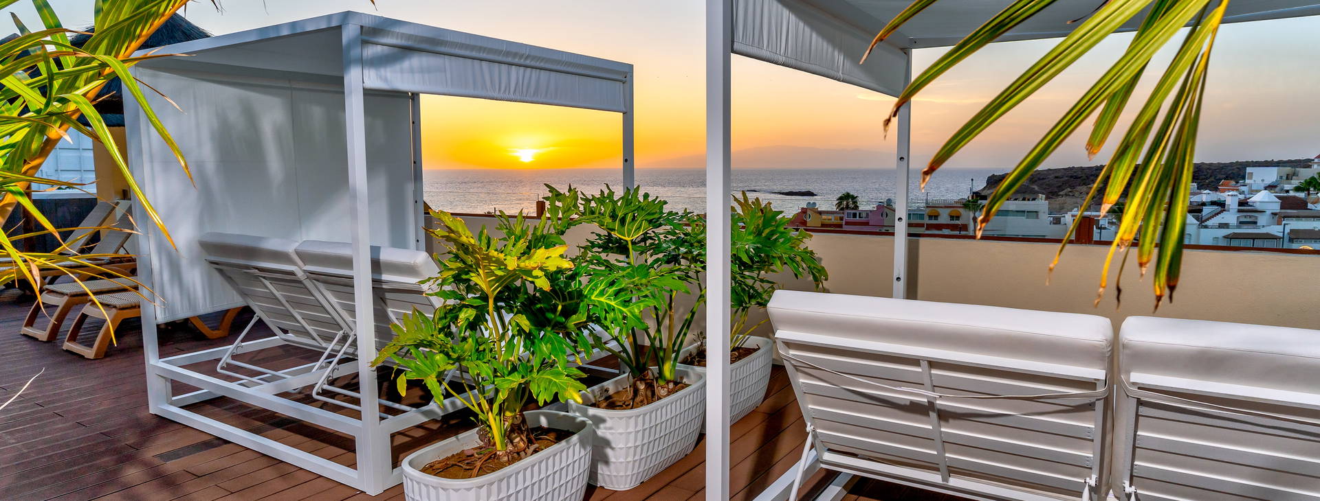 Hovima Jardin Caleta Obrázek29