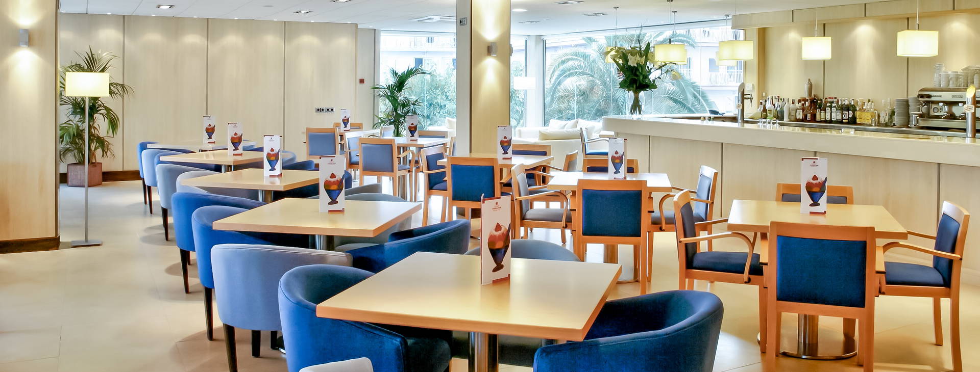 Guitart Central Park Obrázek18