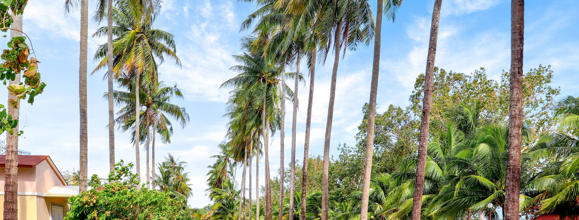 Sokha Beach Obrázek17