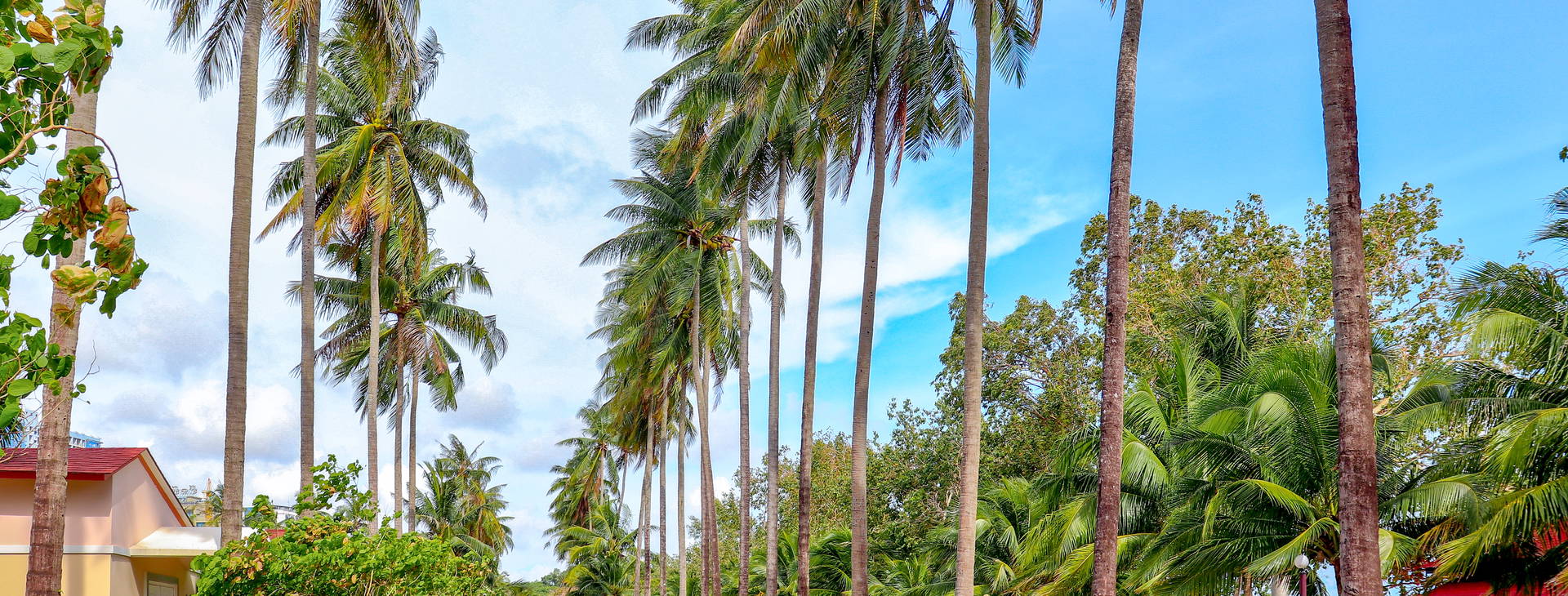 Sokha Beach Obrázek23