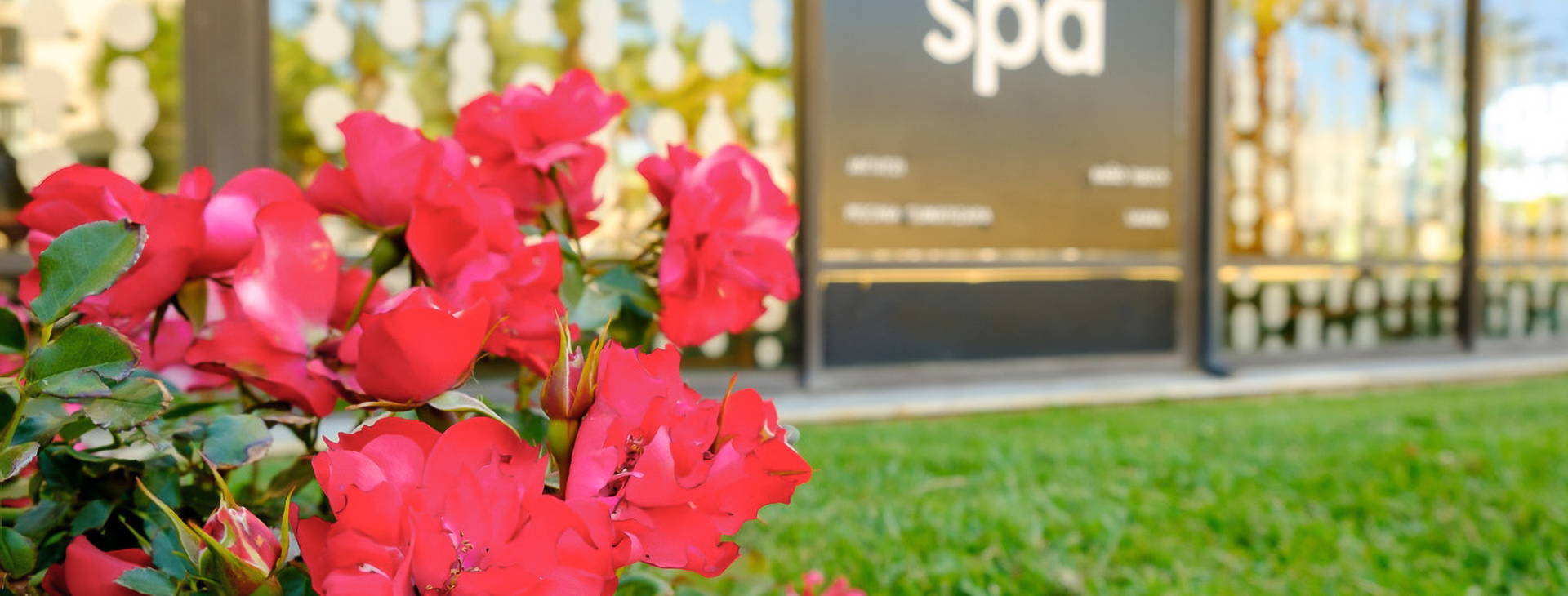 Estival Islantilla Obrázek15