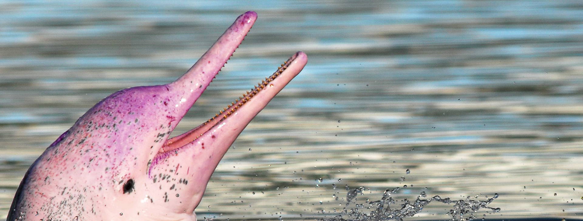 Ubytování WEB Obrázek20