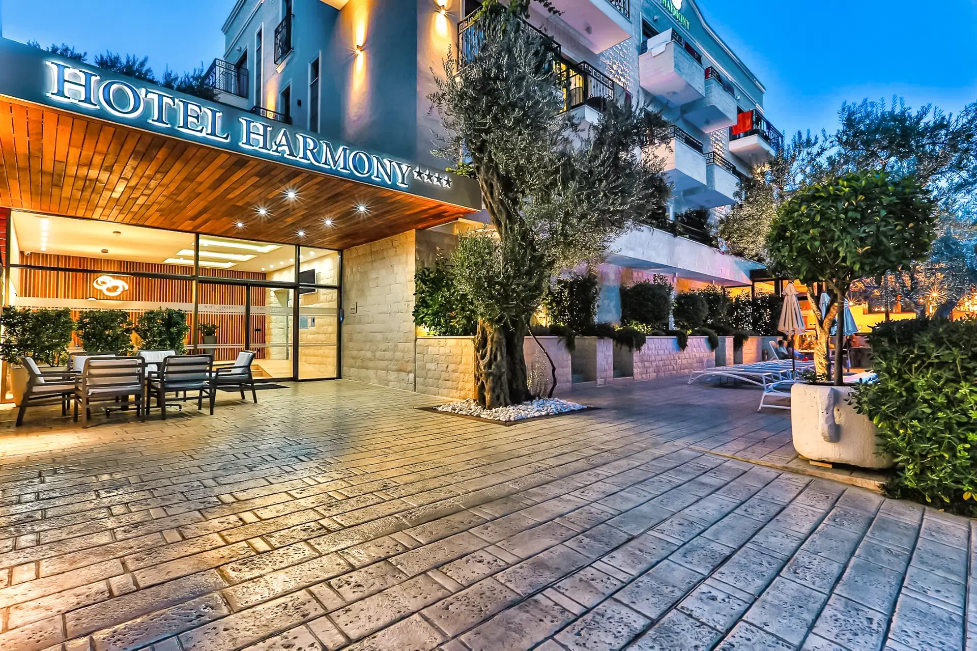 Harmony by Aycon Obrázek13