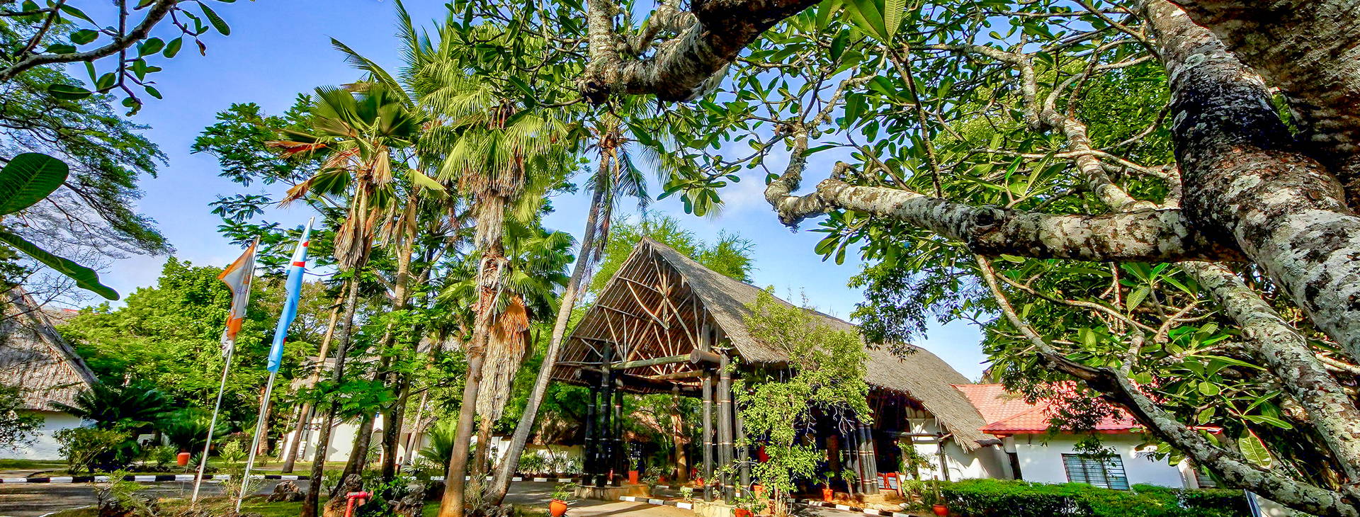 Papillon Lagoon Reef Obrázek7