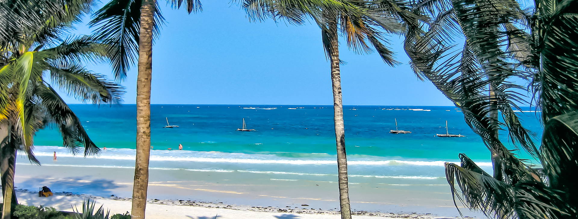 Papillon Lagoon Reef Obrázek17