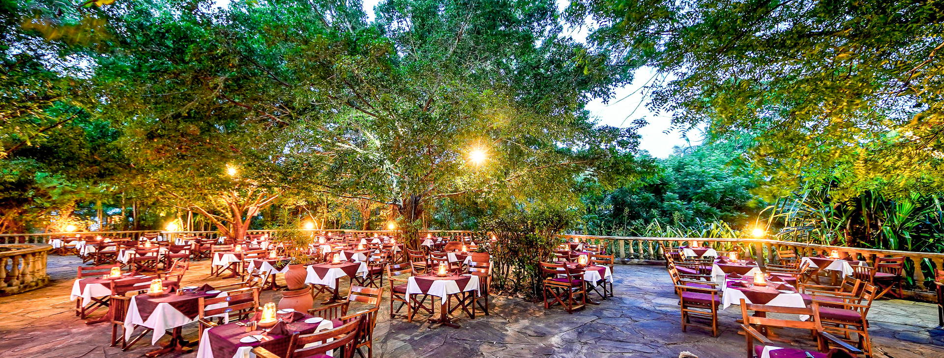 Papillon Lagoon Reef Obrázek15