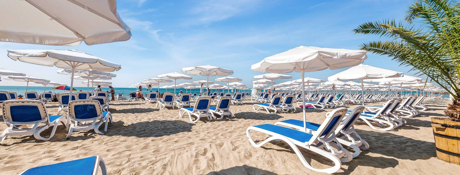 Voya Beach Resort Obrázek3