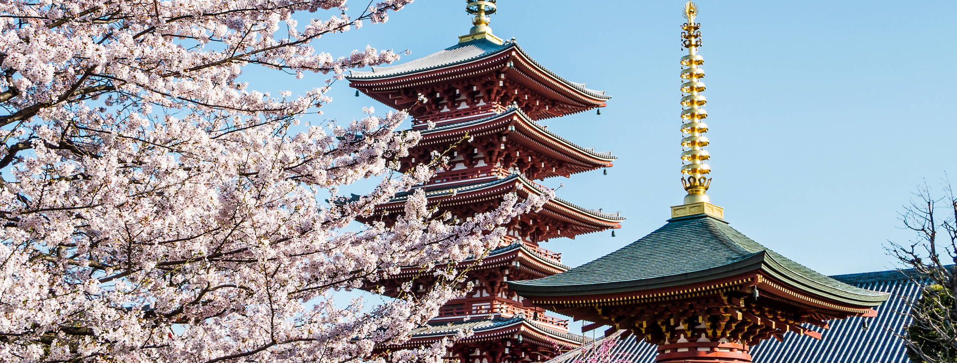 Ubytování JAR Obrázek2