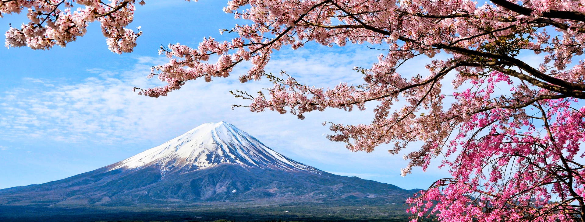 Ubytování JAR Obrázek6