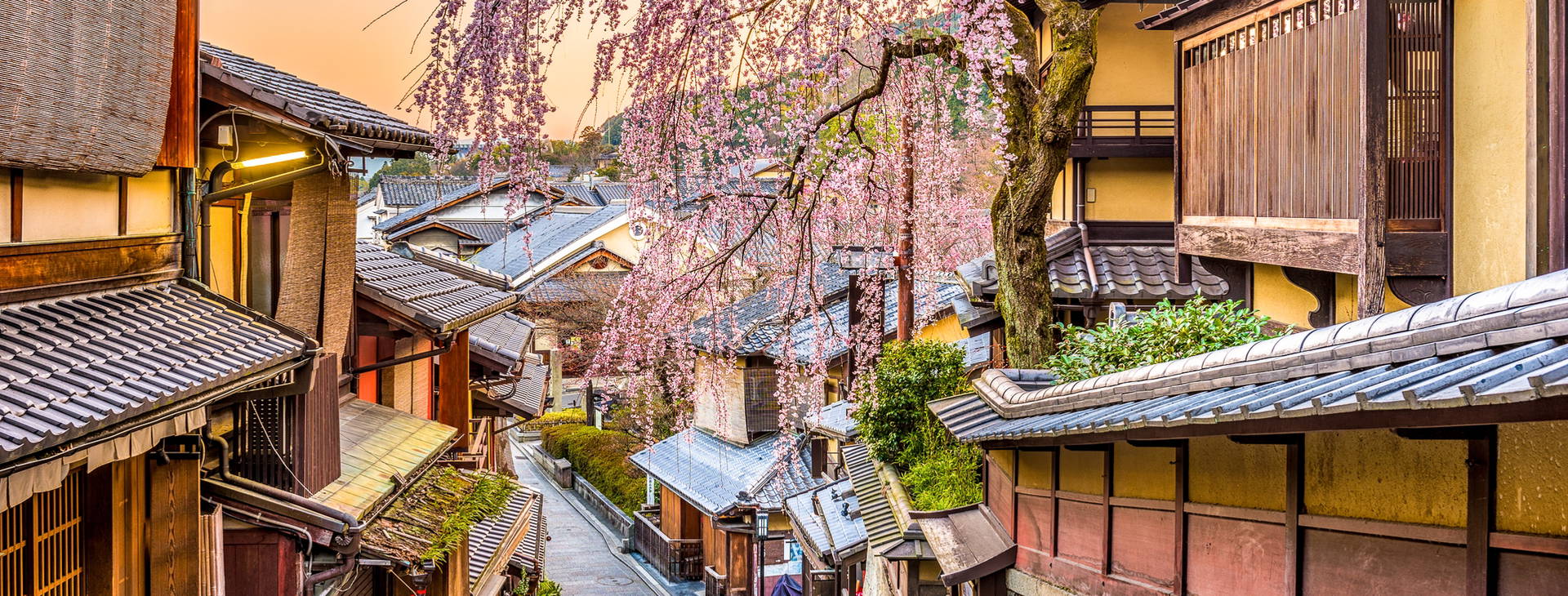 Ubytování JAR Obrázek8