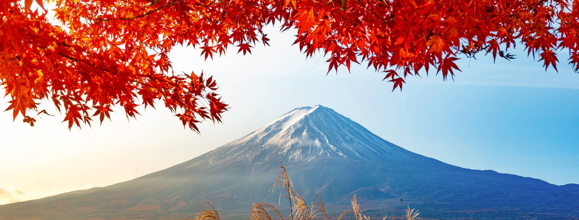 Ubytování JAR Obrázek20