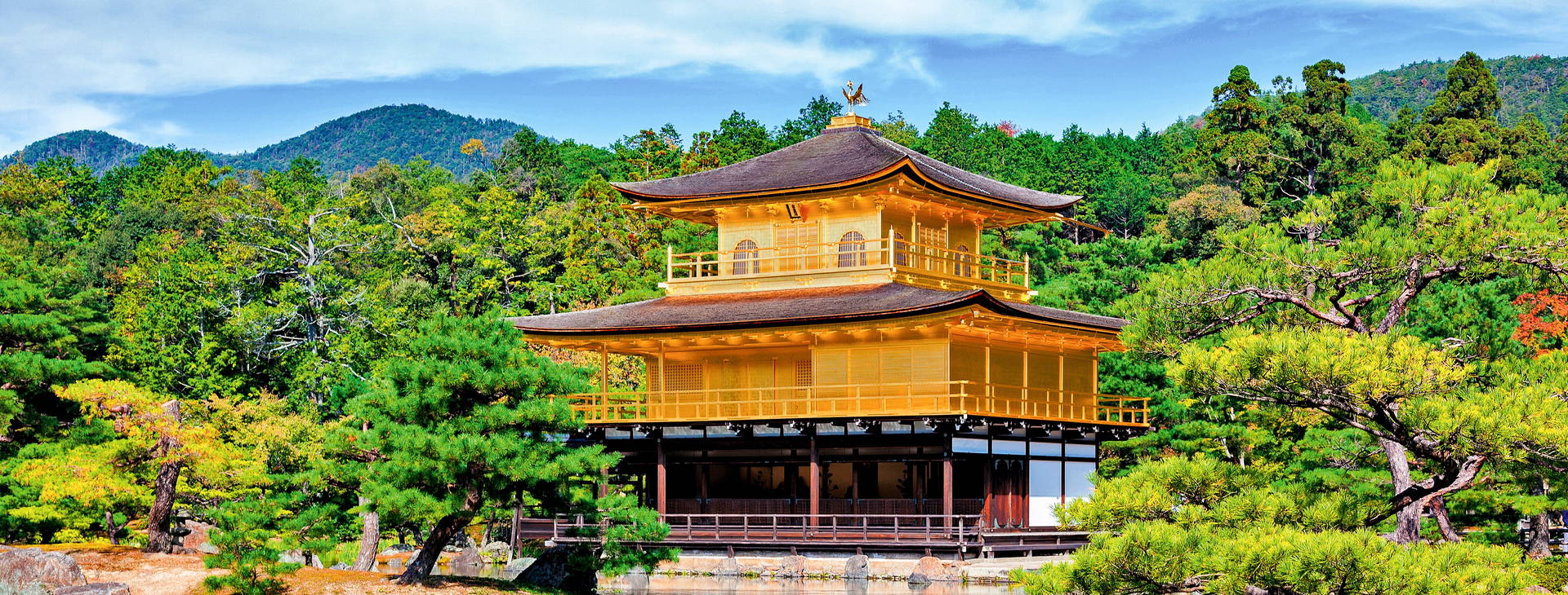 Ubytování JAR Obrázek24