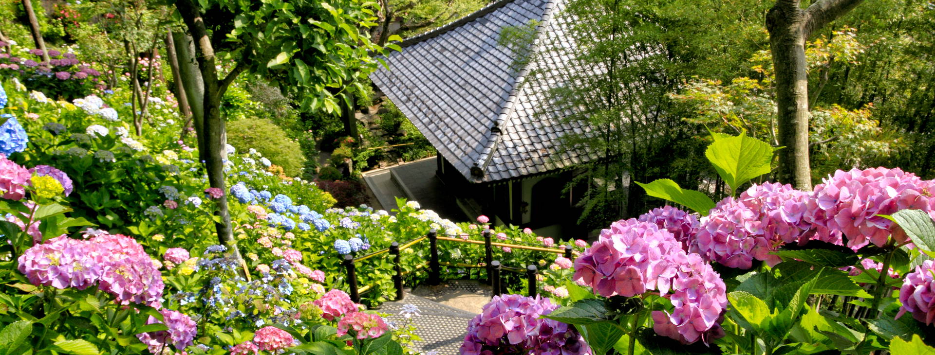 Ubytování JAP Obrázek16