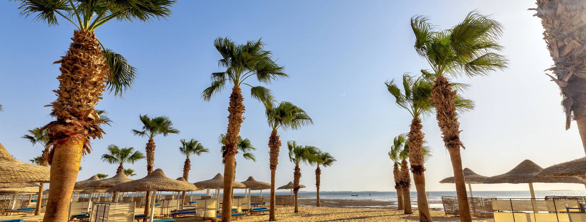 Amwaj Beach Club Resort - Abu Soma (ex. Albatros Beach Club Abu Soma) Obrázek22