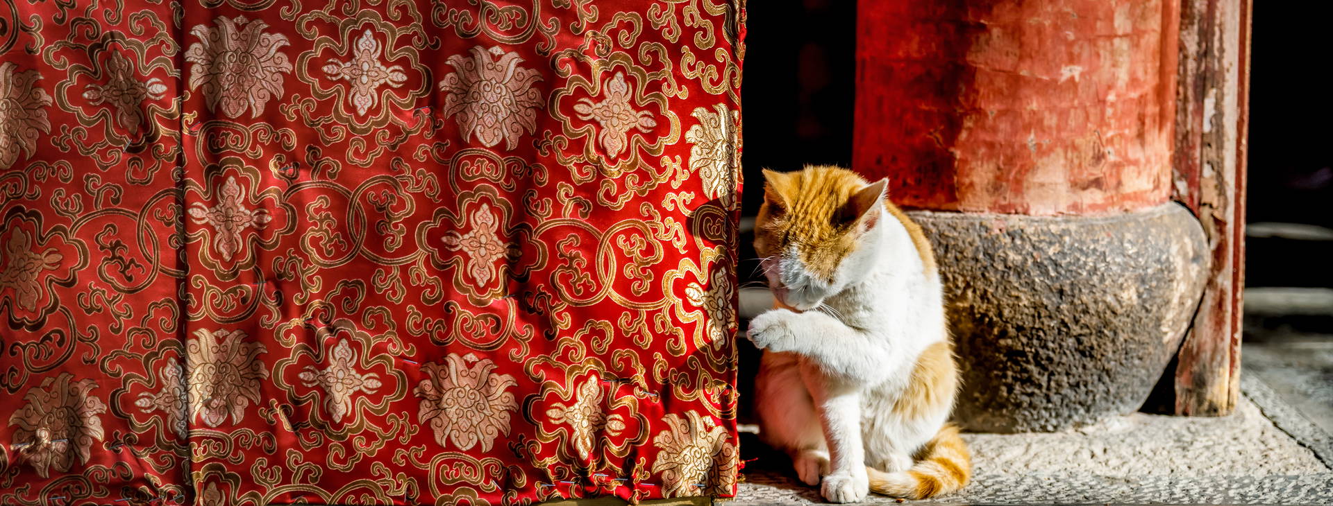 Ubytování CHO Obrázek9