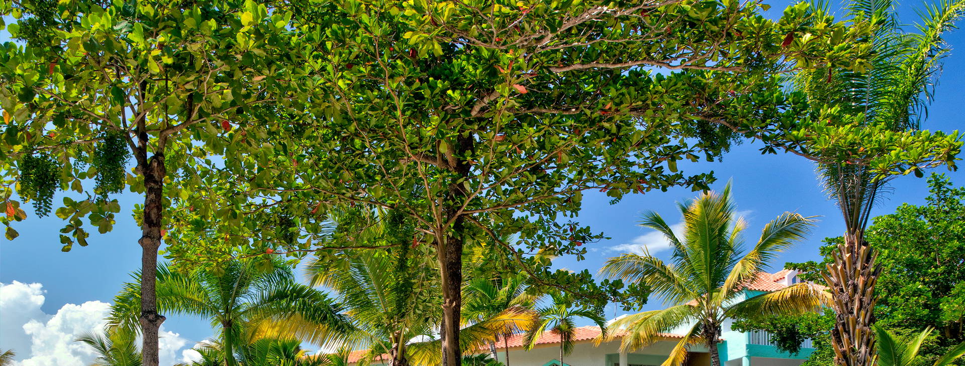 VH Gran Ventana Beach Resort  Obrázek3