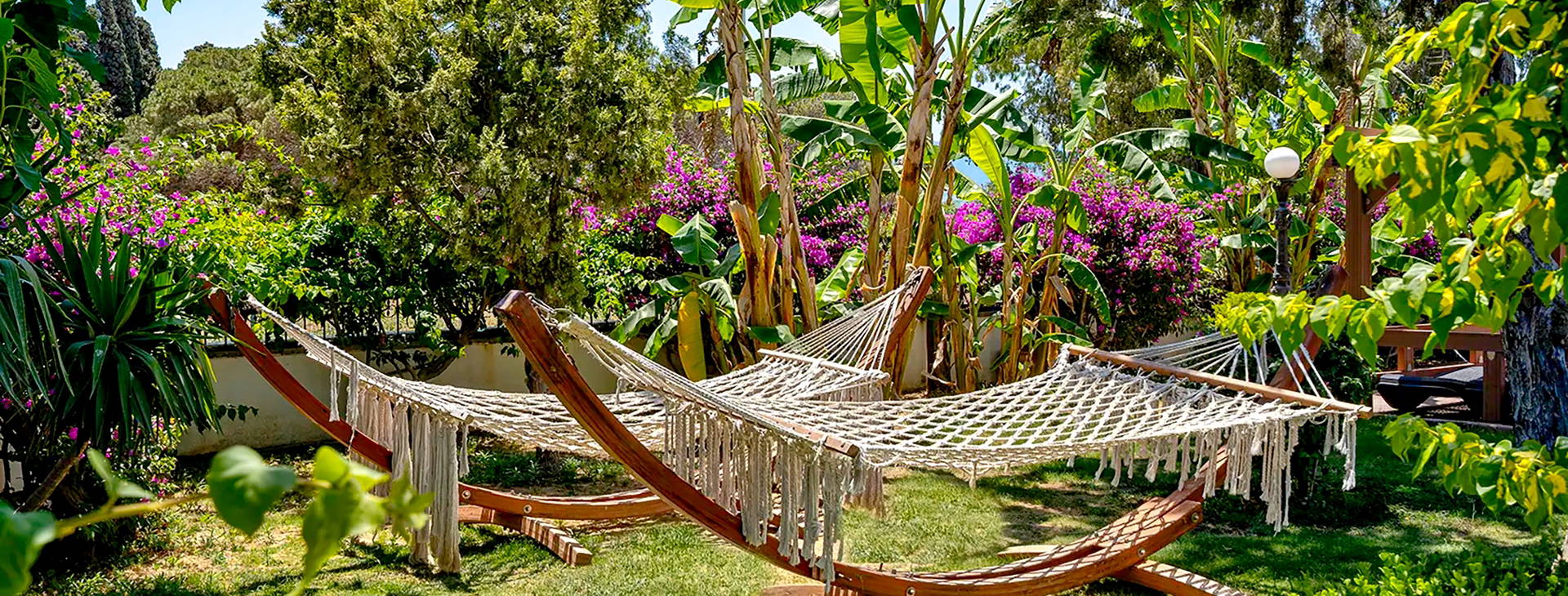 Golden Beach Resort&Spa Obrázek5